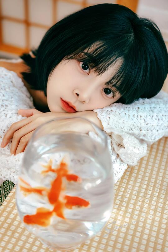 🌼宅家治愈时刻 | 与金鱼共度的温柔时光