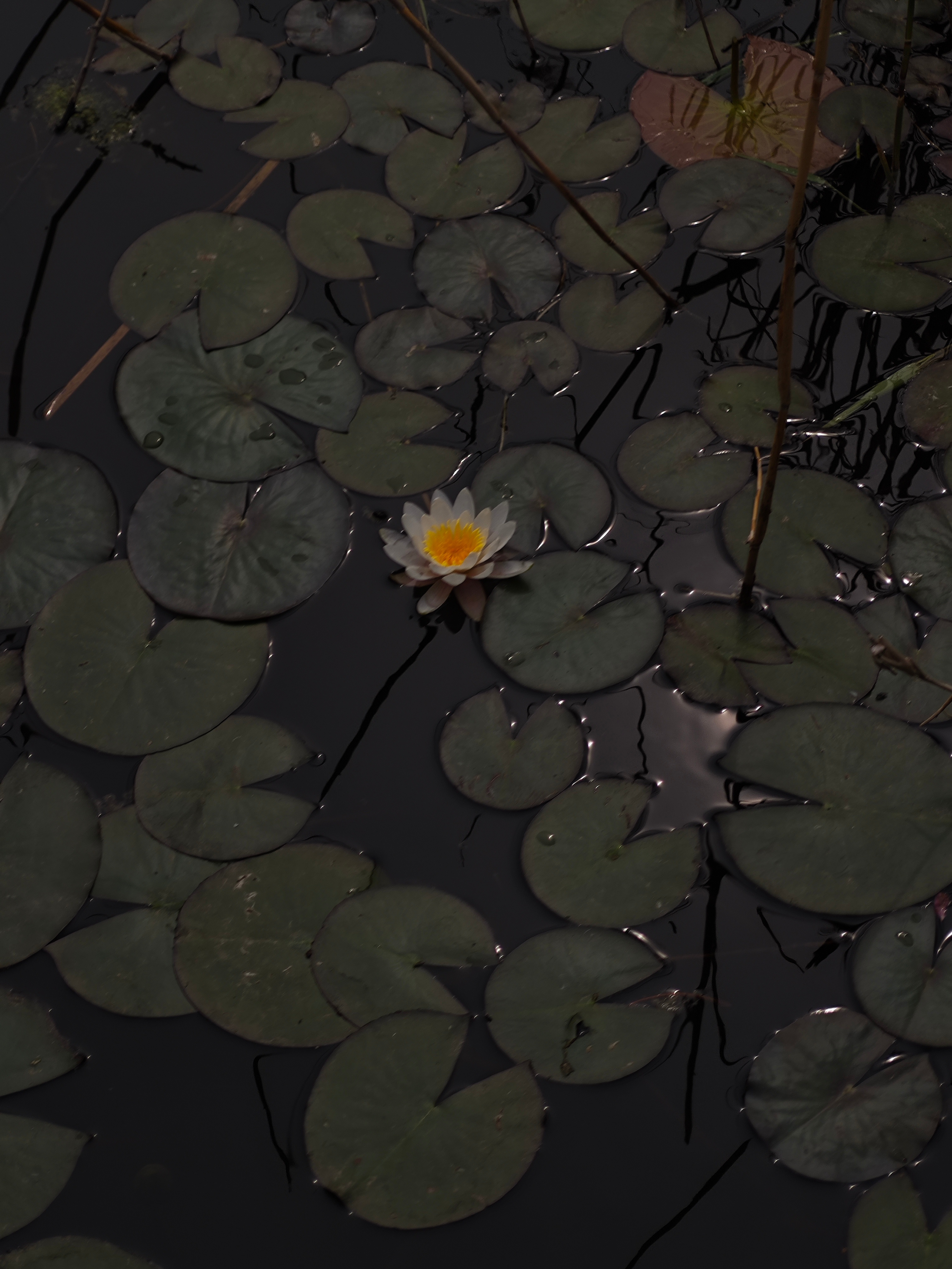 夏天的痕迹 ​​​