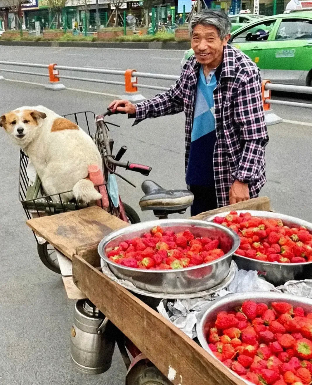 我问大爷，怎么卖的？大爷说二十一斤。我说是那只狗🐶。大爷露出了朴实的笑容说：它