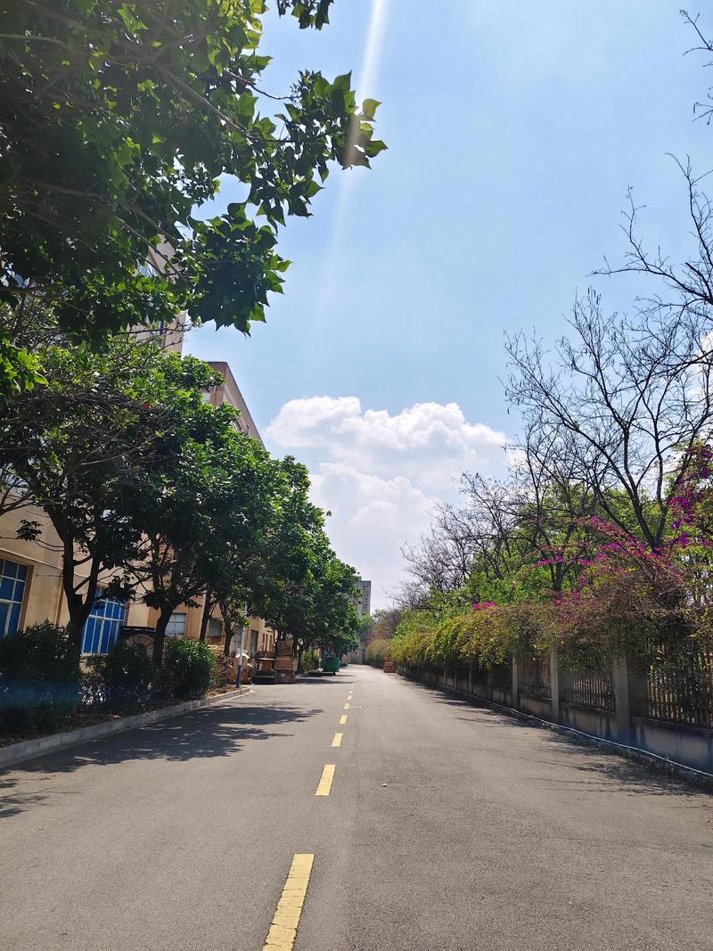 有随手拍的好看的风景照吗