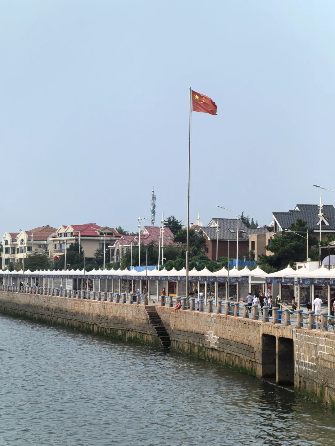 8.31 青岛街头实况 海边有薄雾 热🥵