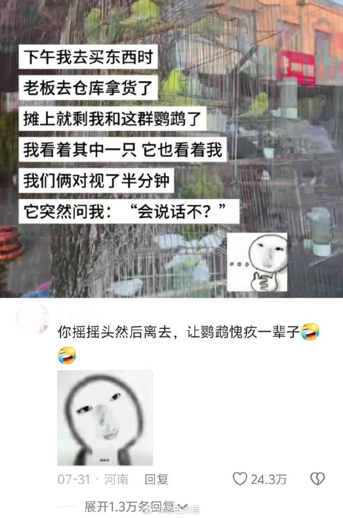 让鹦鹉🦜愧疚一辈子的2.0W个方法哈哈哈 ​​​