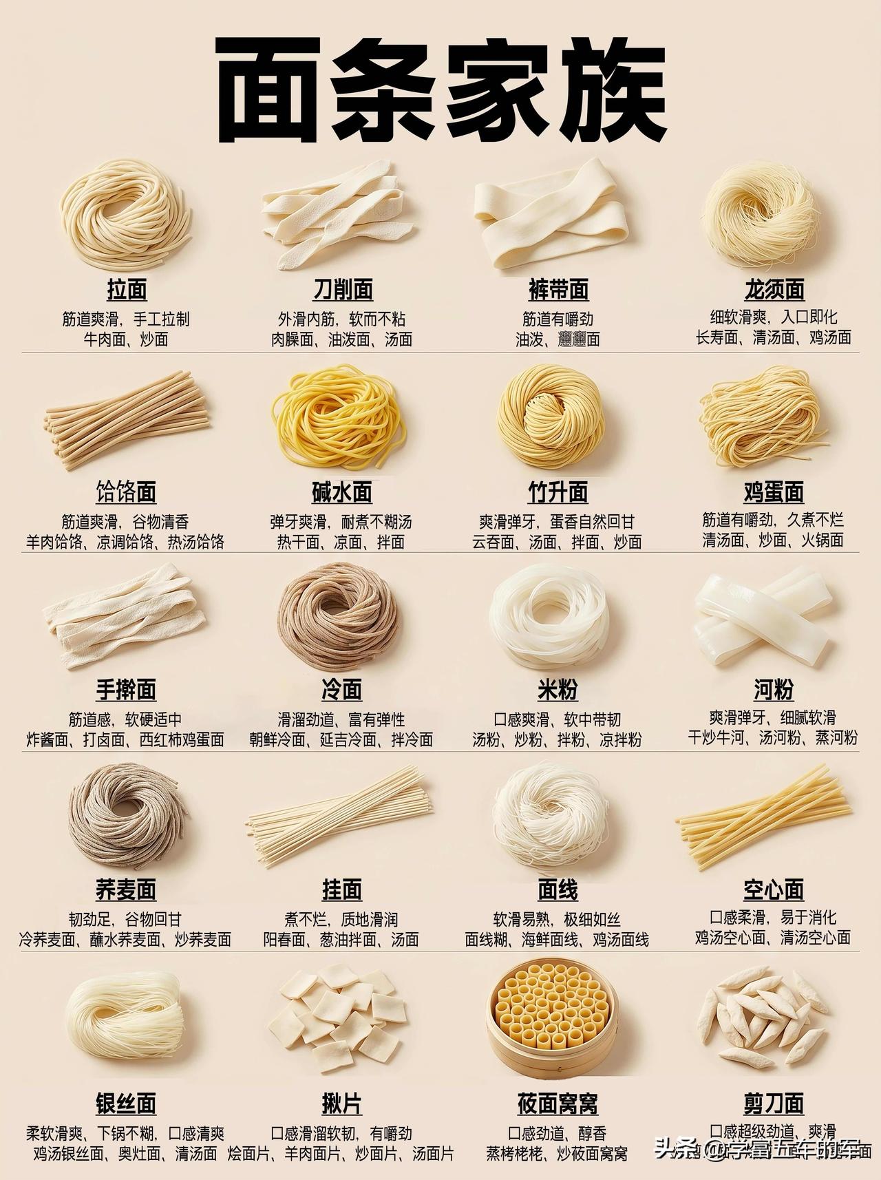原来面条有这么多种！一篇看懂它们的区别和吃法

面条是中国人餐桌上的常客，但你知