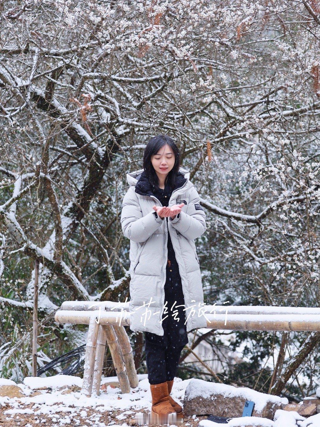 2024有许多个不一样的心动瞬间1月去武夷山桐木关看茶山下雪，一场春雪一下今年的
