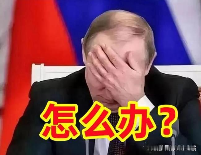 早知现在何必当初呢！
说句实话，俄罗斯可以武力教训一下乌克兰，让乌克兰知道疼。