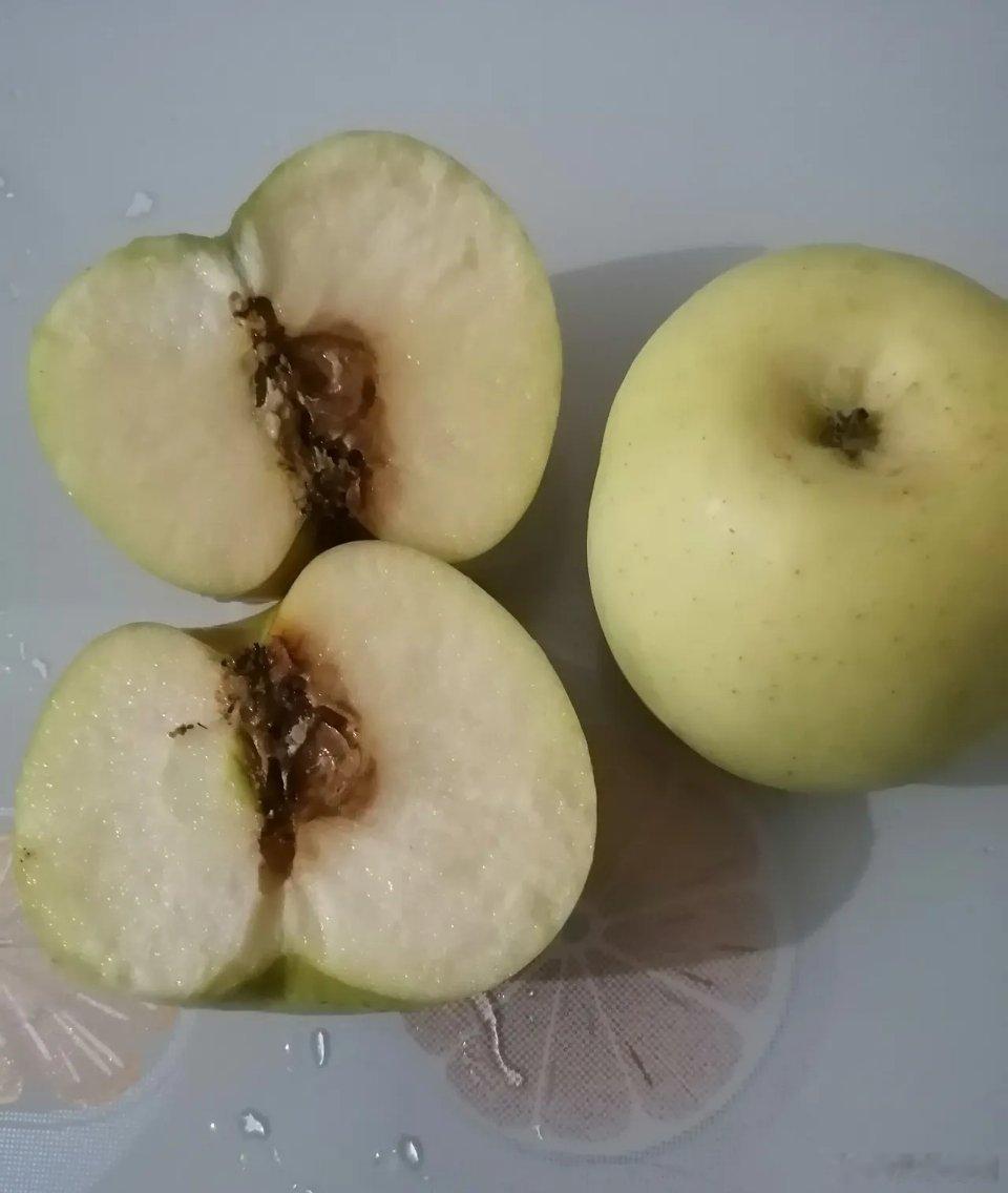 烂掉的果子会自然掉下来，烂在泥土里成为你生命的肥料任何时候都不要撕破脸，也不要选