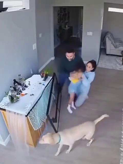 COME HERE，SWEETHEART.GOOD BOY.YOU'RE BOY