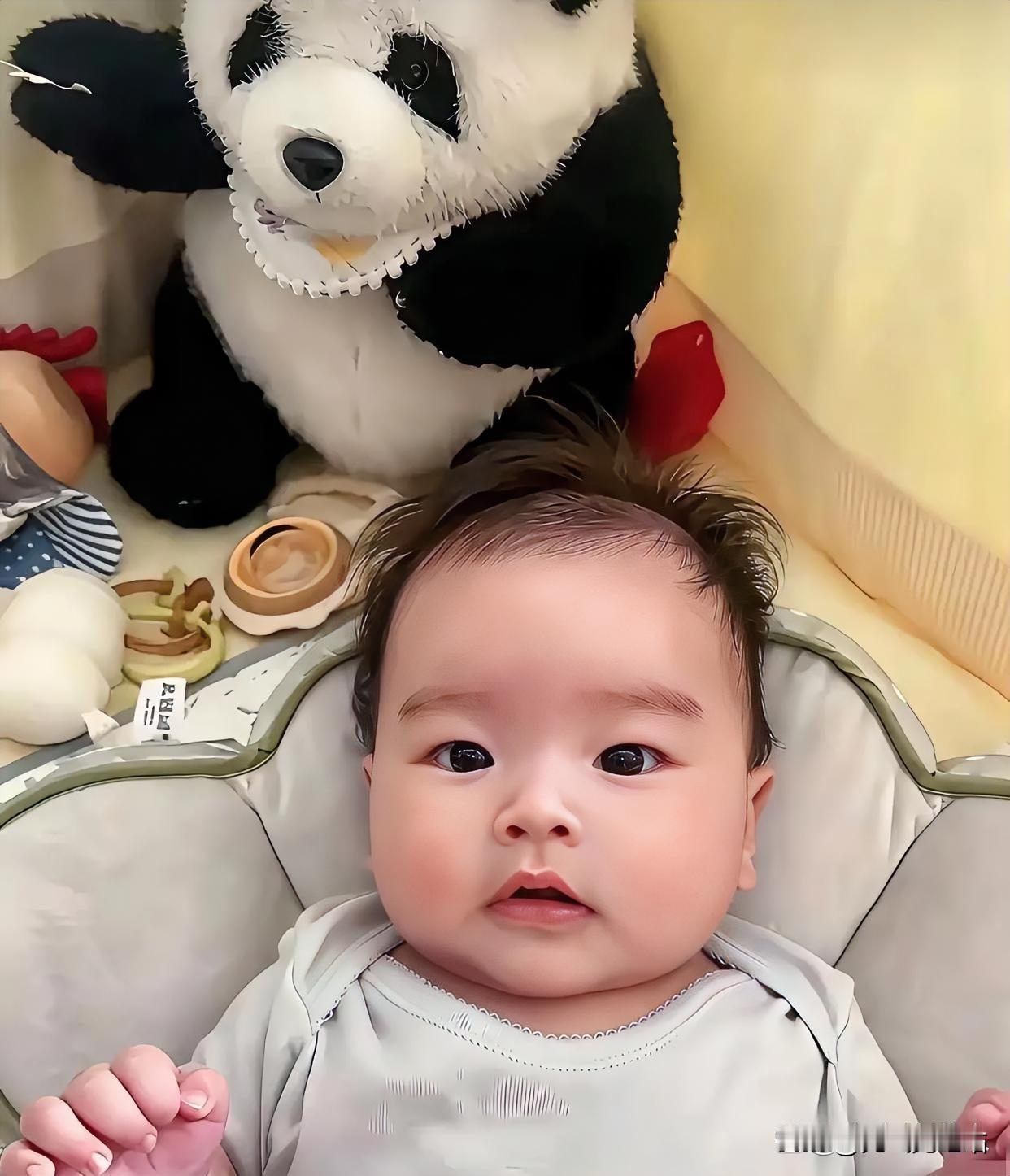 昨天马筱梅直播间说汪宝儿自己挣奶粉钱，给我整懵了，这么小的孩子咋赚钱啊？

想想