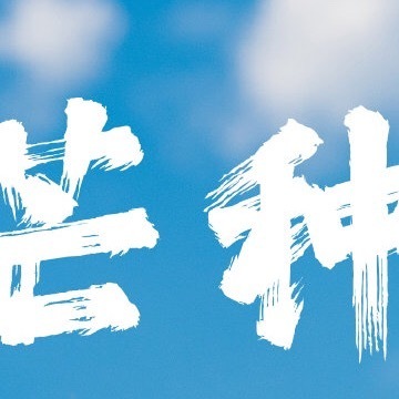 “今日芒种”种下希望，收获美好！芒种 🌾🌾