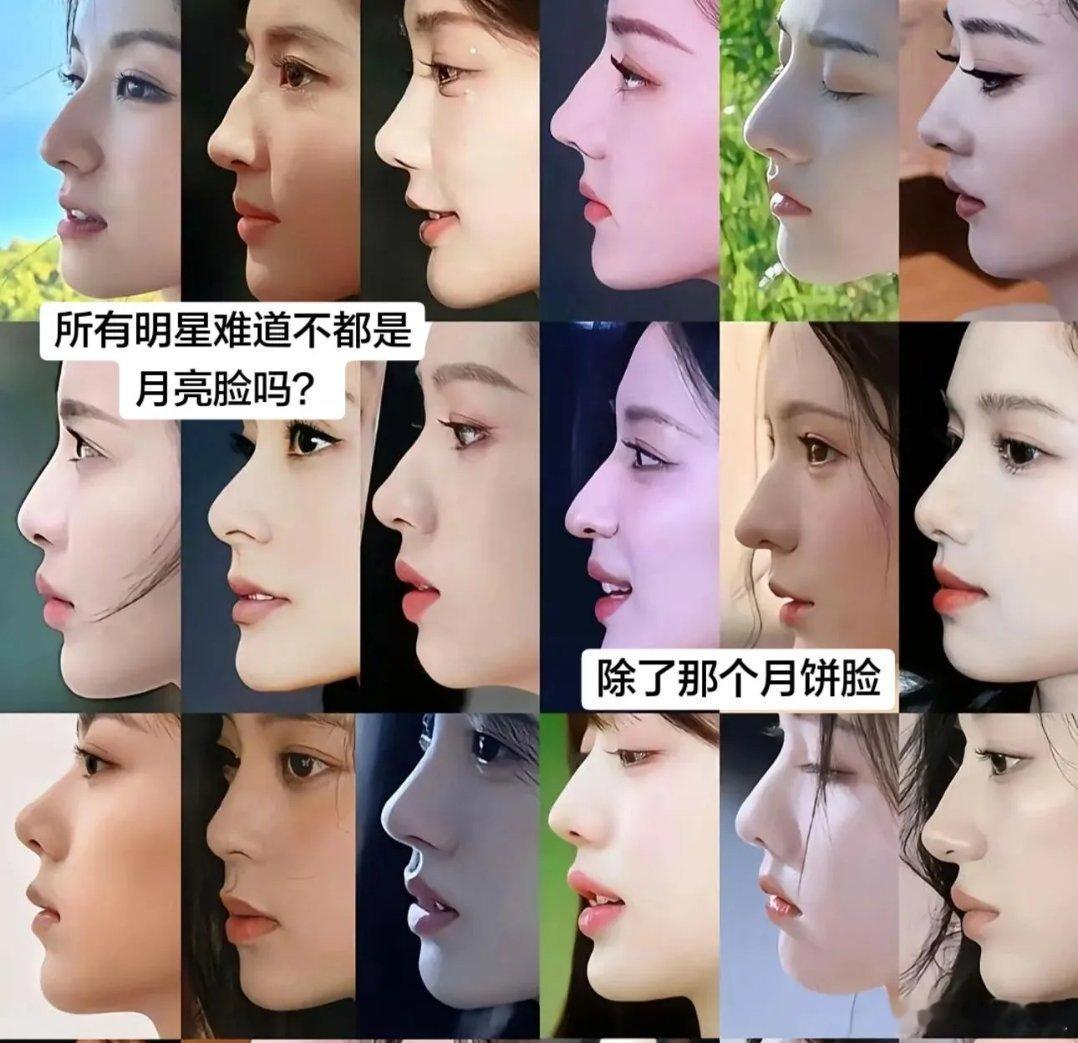 都在说露思的高鼻梁是z的 搞得好像全世界就只有她一个高鼻梁似的 