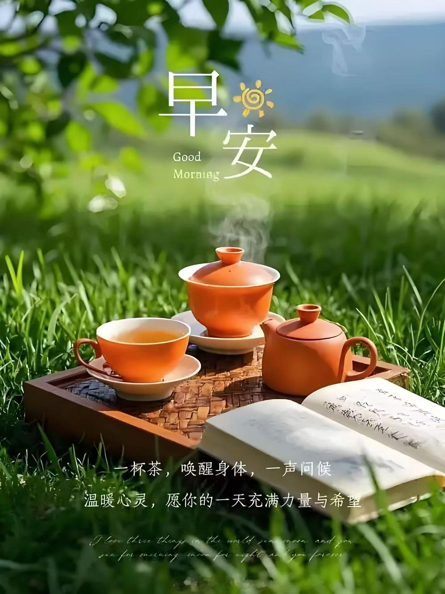 每一个清晨，都是新的希望，新的起点，不念过往，不畏将来，只争朝夕。只争朝夕早上好