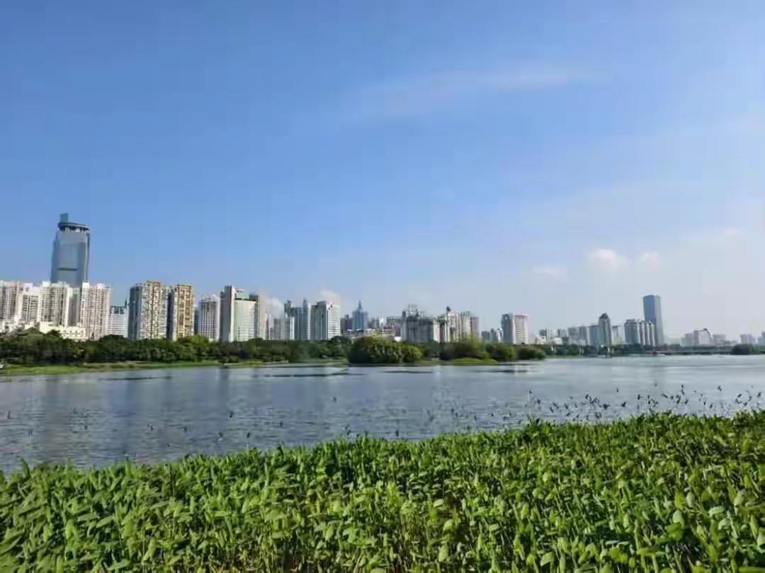 紧急预警！广西天气“失控”！暴雨、大风、冰雹组团突袭，背后原因太惊人

刚刚迈入