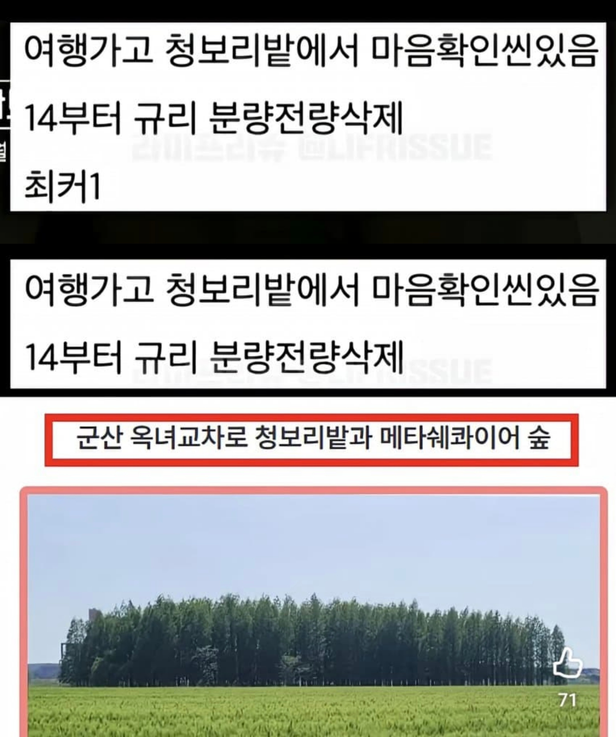 heartsignal5 韩网的一个剧透▪去旅行了，在青麦田有确认心意的场景从1