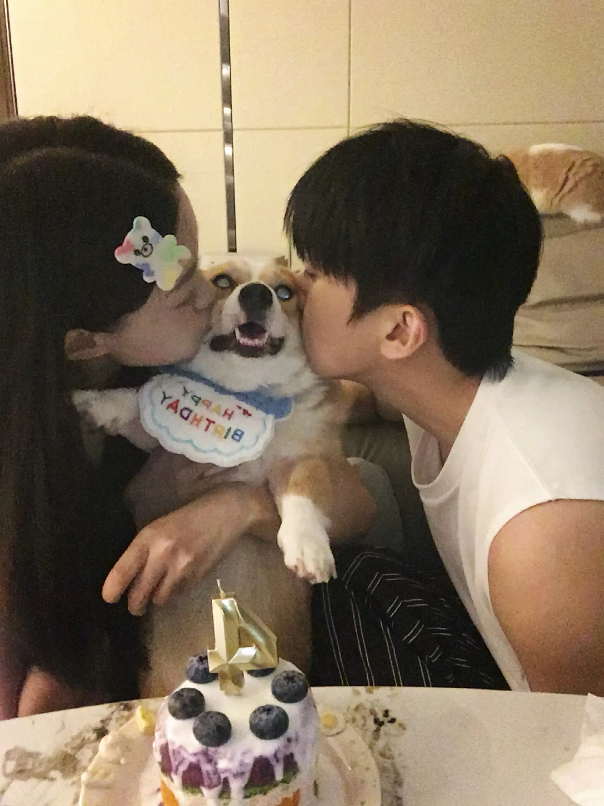 或许时间的参照物是你养大的小狗՞ฅ´ ꄃ `ฅ՞