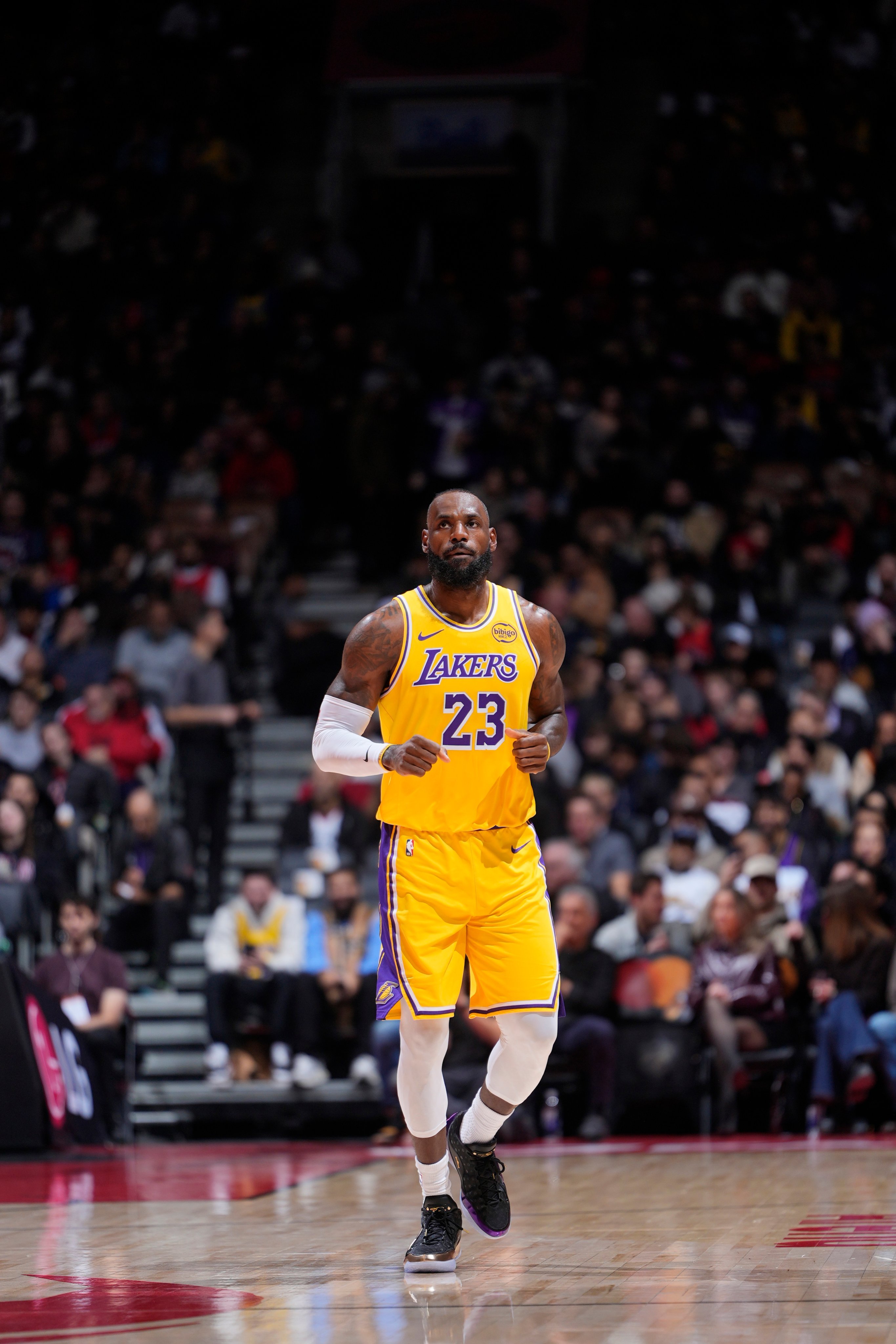 NBA LeBron James 