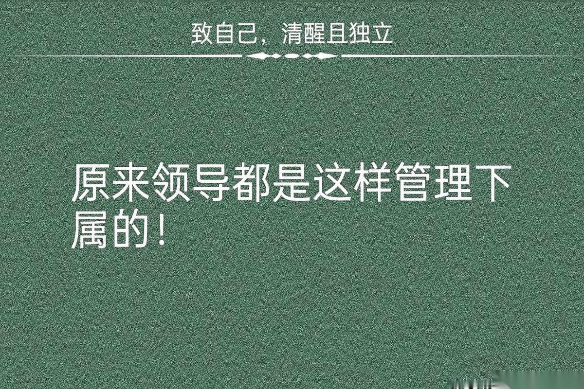 一个干了几年的中层发现，领导一边嘴上说着“我很看好你”，一边把年底奖金、好项目和