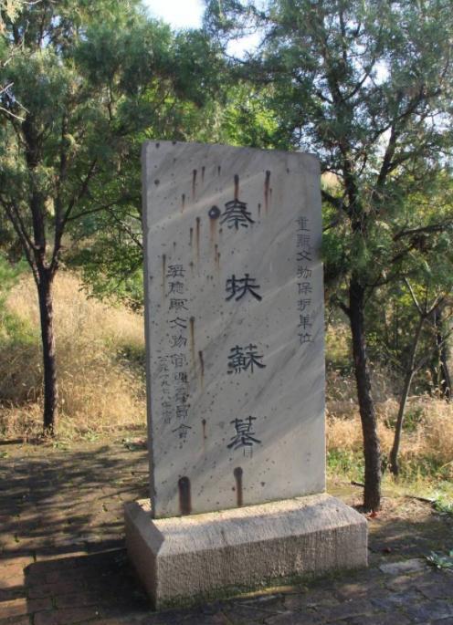 “这简直是丧尽天良，没有人性！”1976年，西安挖出秦始皇女儿墓，墓中惨状，就连