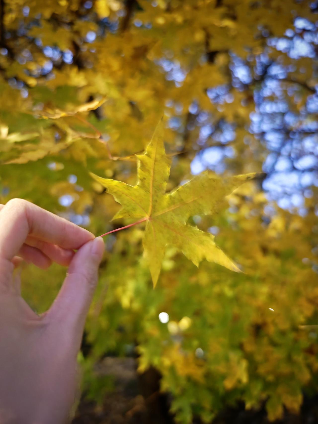 不断打破认知，当你觉得很有握的时候，正是危险降临之时。
过于自我只能自我覆灭，要