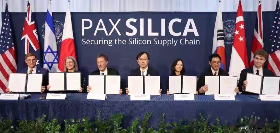 12月22日，据观察者网报道，前段时间，美国联合一众国家成立了一个所谓的硅和平倡