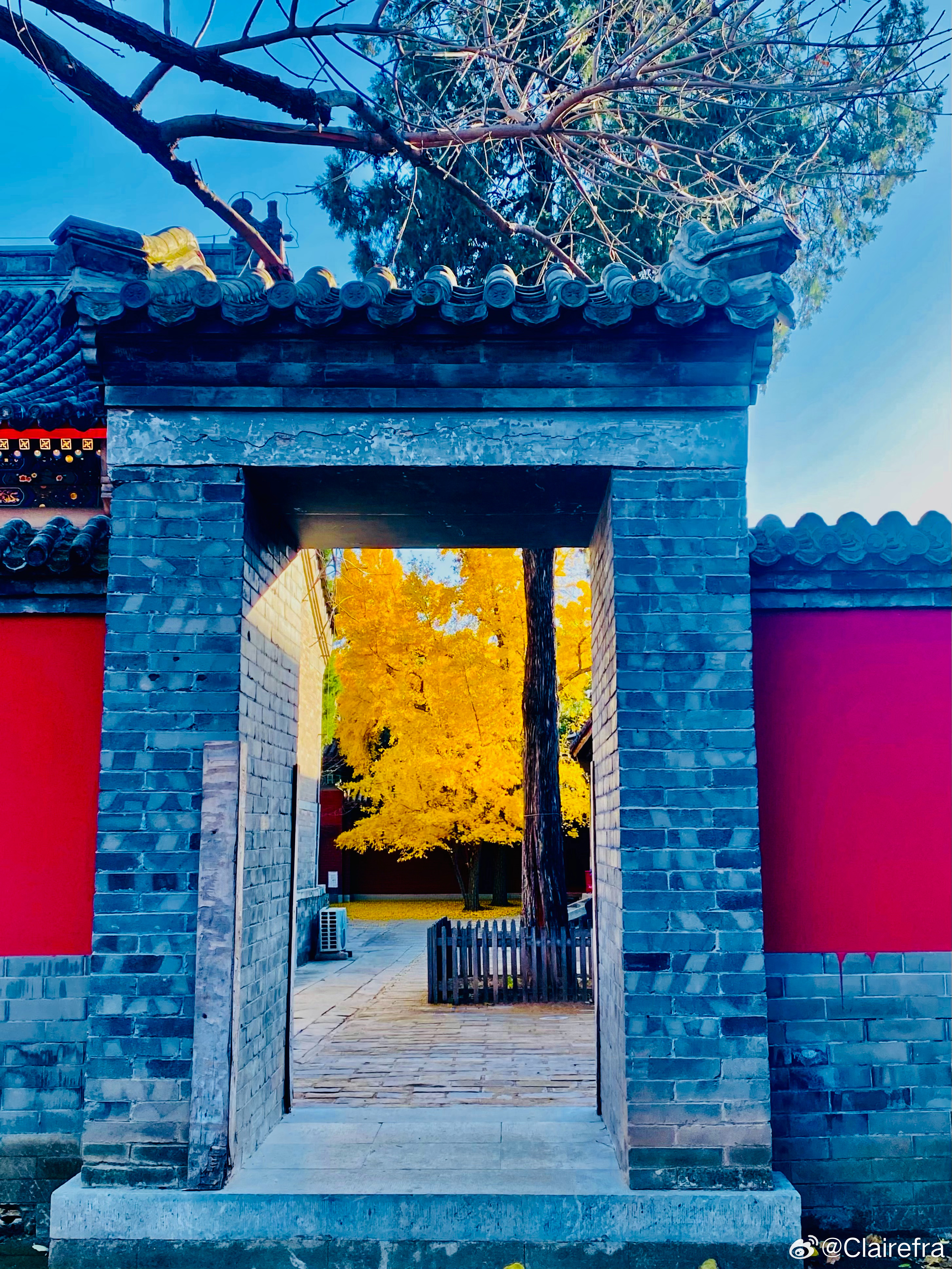 愿倪安好[超话]  再来一组承恩寺燕京八绝博物馆的随手拍。周一快乐💚 ​​​