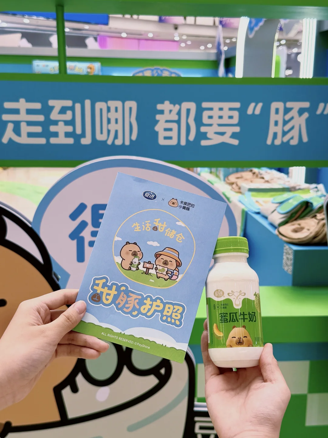 豚门集合！来万达打卡夏进&卡皮巴拉快闪