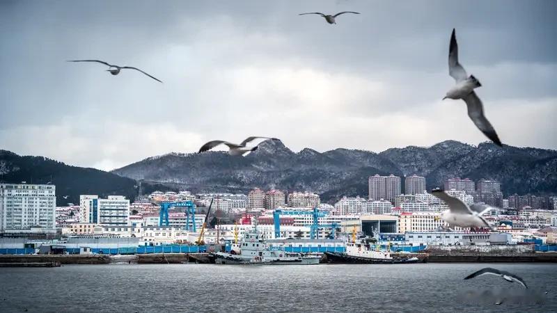 山东威海下了“倾盆大瓢雪” 山东威海降下“倾盆大瓢雪”
2026年1月，山东威海