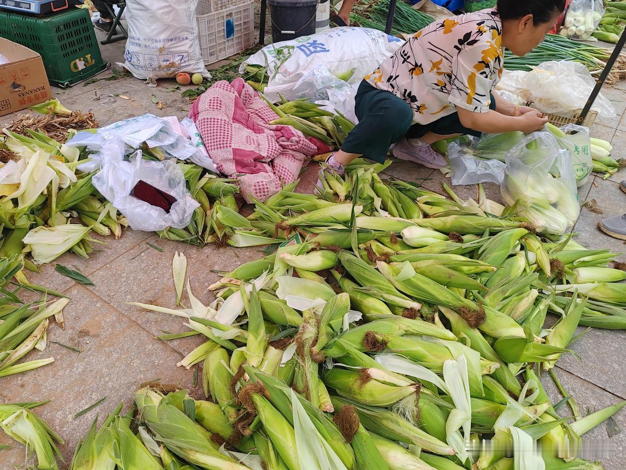 5月10号进京，本月22日回到东北老家朝阳市。今早饭后去龙山街早市买菜，粘玉米5