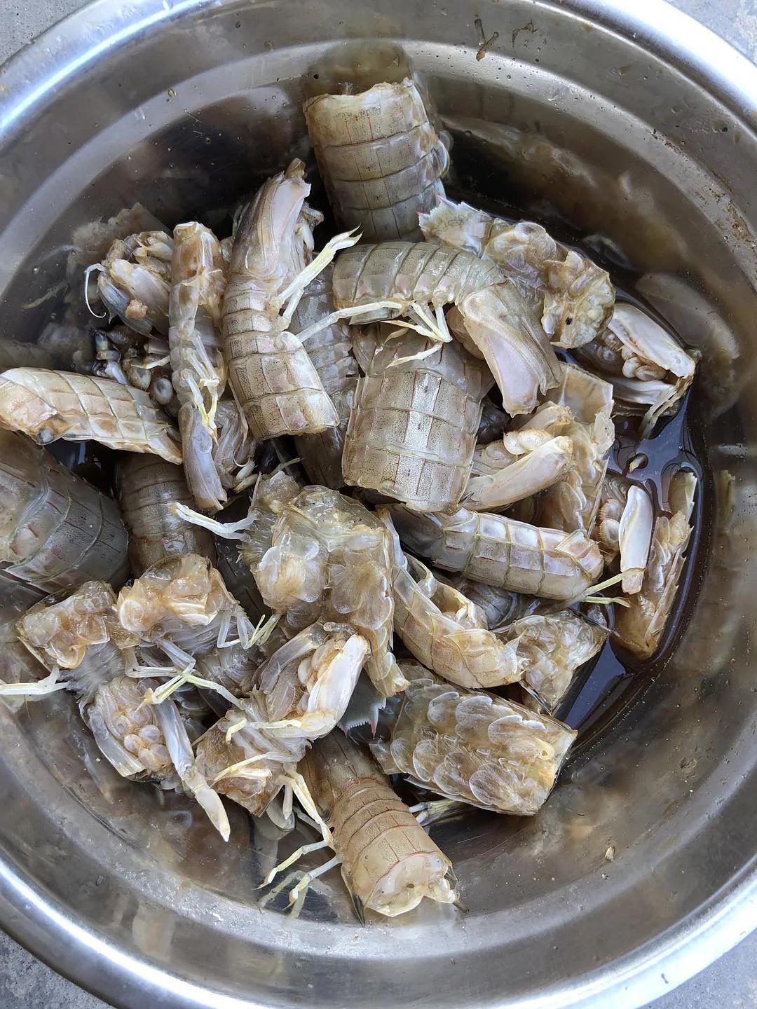 虾蛄，名字有虾，但它们不是虾。

在大自然的世界里，有一种生物，它们的名字让人印