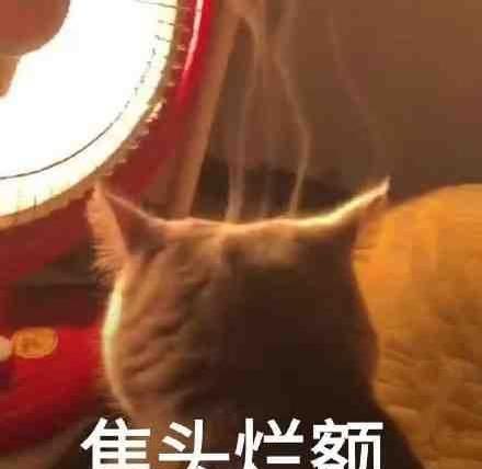 六月的北京38度
晚上一直都是开窗睡觉没怎么开空调 今早终于在五六点钟被闷醒 不