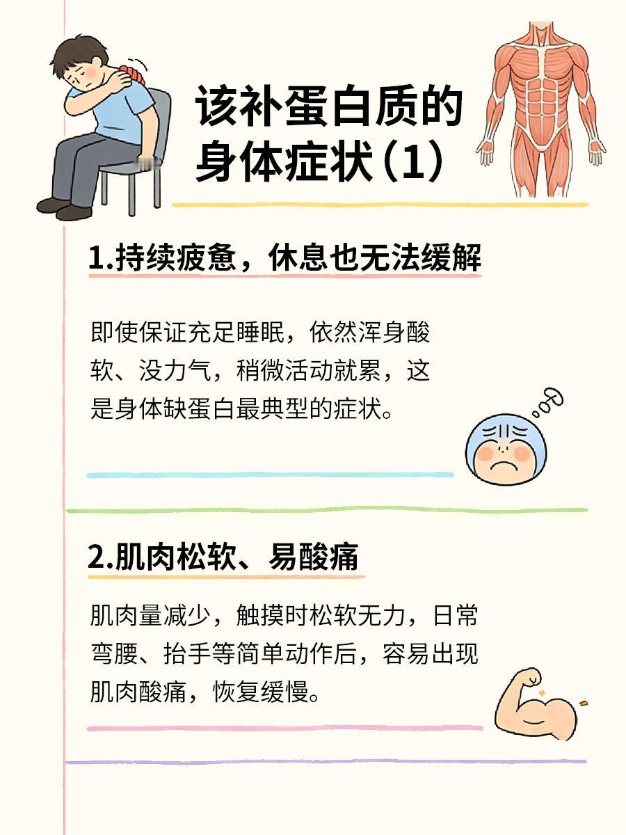越休息越累？身体提醒你，该补蛋白质了！
一些人有这样的困扰：明明睡够了8小时、什