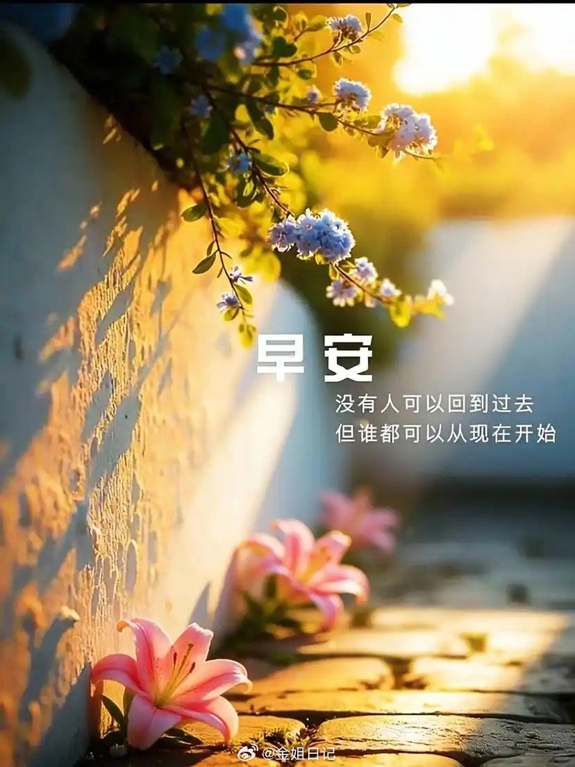 各位早安🌻 向阳而生，逆风翻盘不抱怨，不放弃，把每一次挫折都当成成长的养分，把