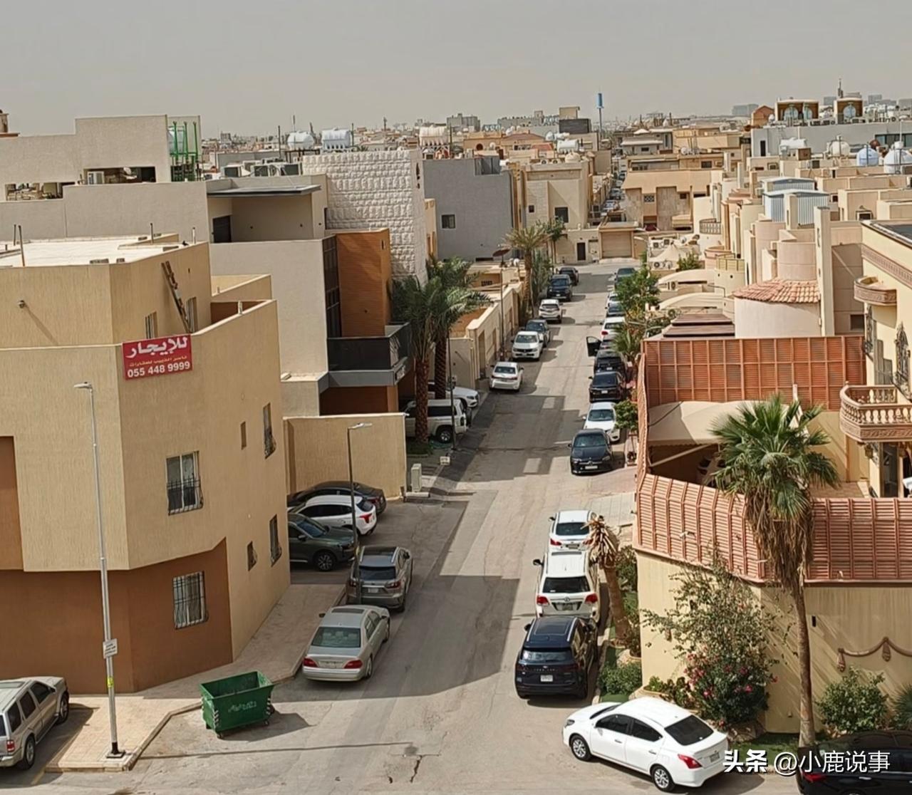 为什么没人敢动沙特？
真相其实特别简单——沙特让所有国家不敢碰、不能碰、也打不起