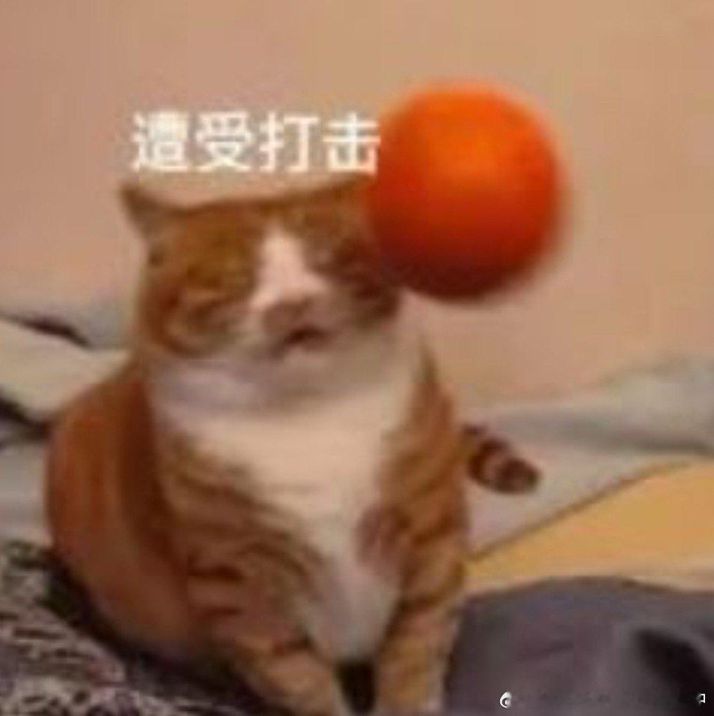 跌停全割了，安生了不然明天继续暴跌，我可受不了 