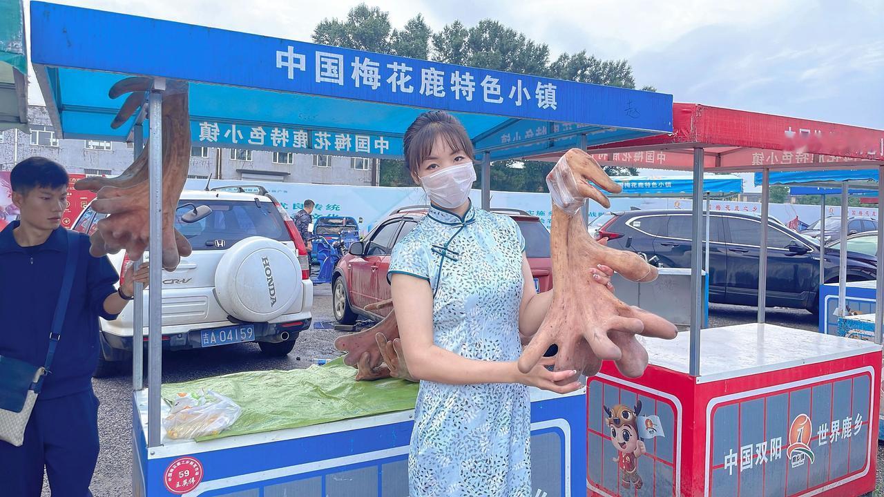 滋补养生  当“茸”不让
一盆鹿茸换辆豪车
正宗梅花鹿鹿茸肥嫩饱满 家中必备