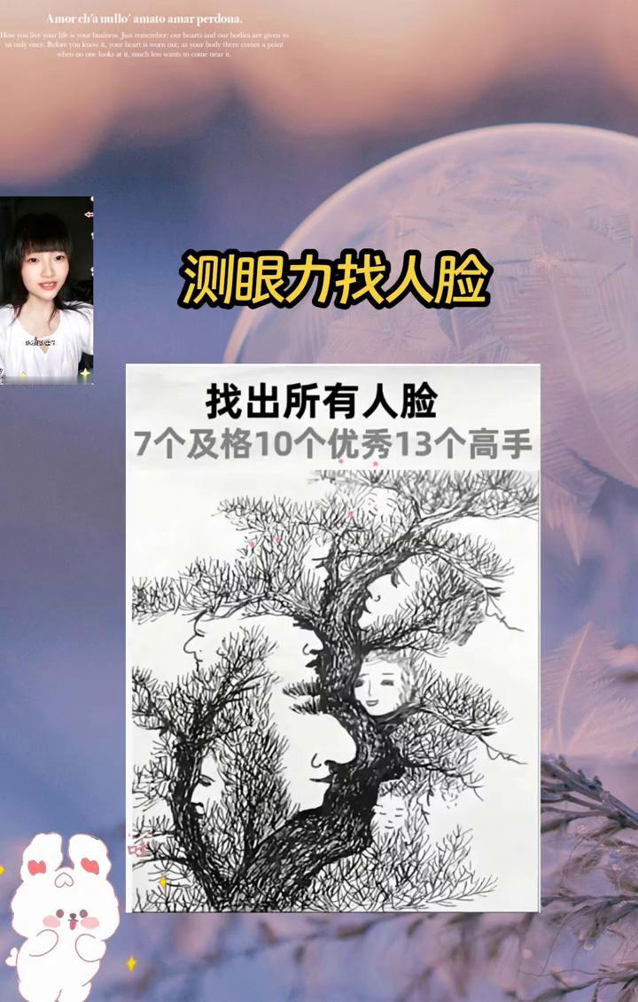 测眼力找人脸。
找出所有人脸，7个及格，10个优秀，13个高手。能精准找出13个