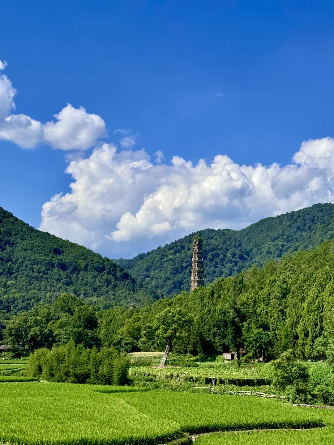 在跟风坠成功的一次❗️看live图😭