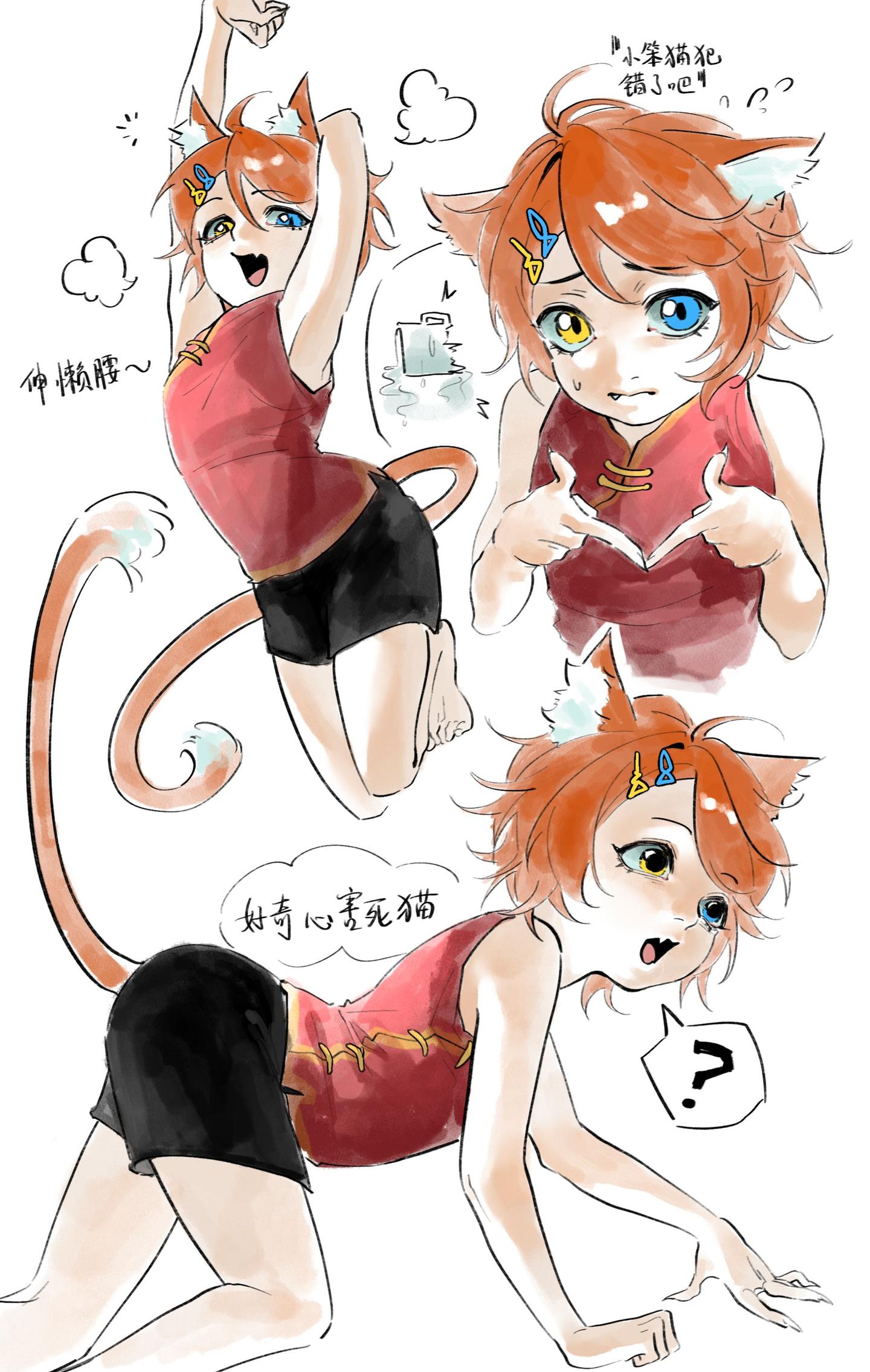 小猫怎么样都很可爱！护法神霞梦 这次先不介绍他了，等他家两个大人画完了...