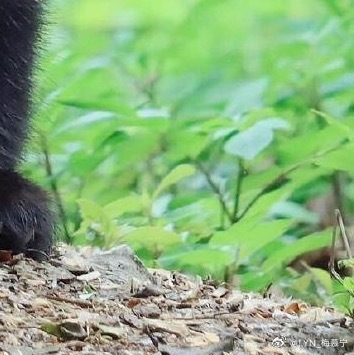 熊猫守护者 | 熊猫守护者‬ 努力做一个善良的人，做一个心态阳光的人，做一个积级