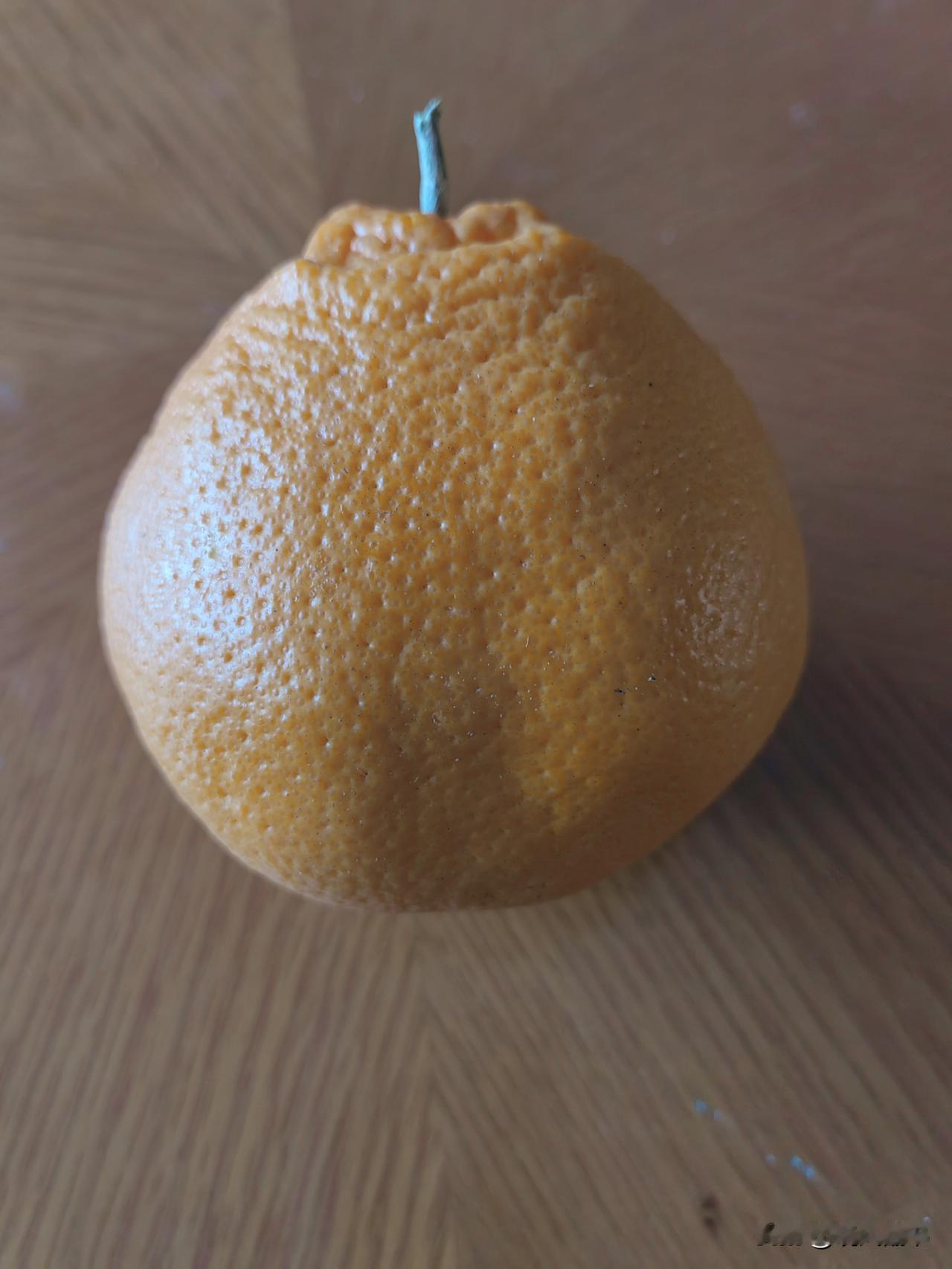 您看到的没错，这是一个粑粑柑，既普通却又不平凡。说它普通，它就是一个春节期间摆在