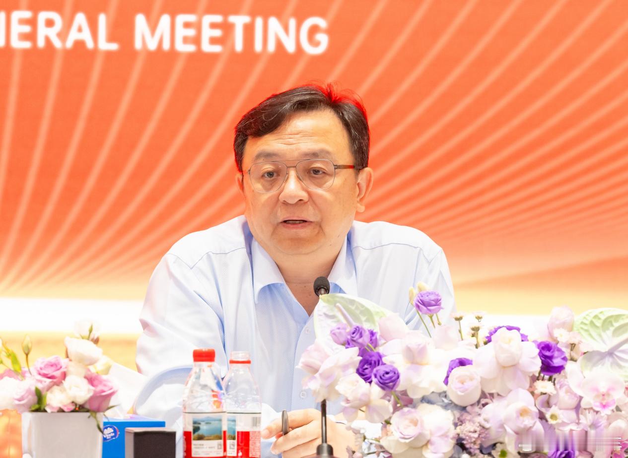 比亚迪王传福: 我们绝不拉踩同行，这是原则2025年6月6日，比亚迪2024年度