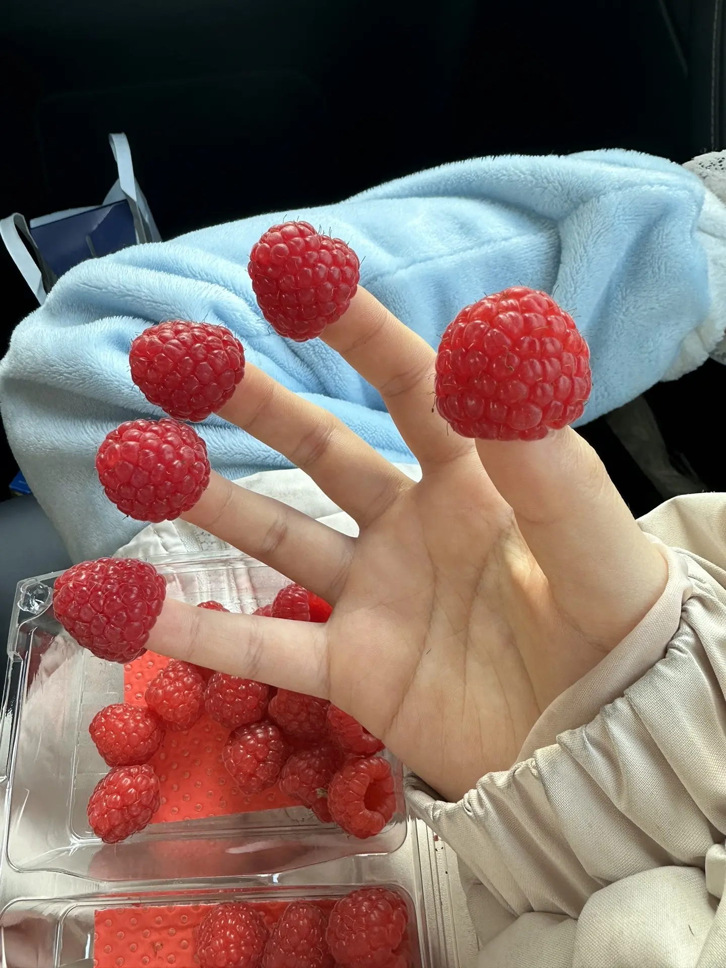 这样吃树莓会更好吃吗？