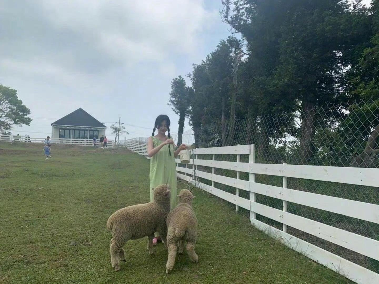 半年可见｜济州岛之旅空气像青苹果🍏虞书欣 ​​​