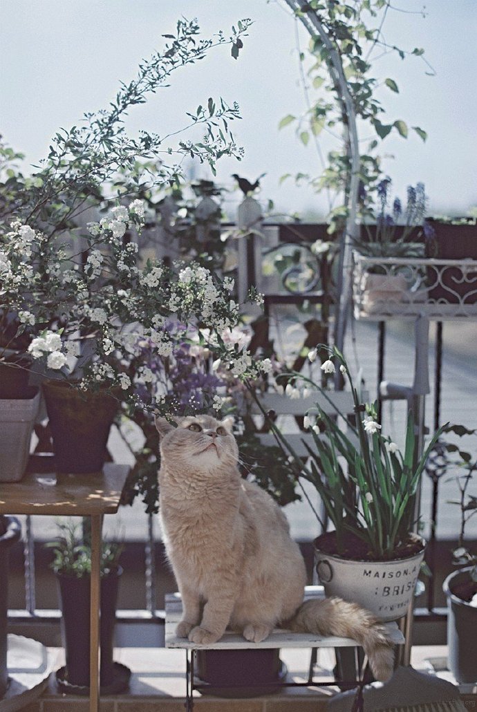 惊起归鸿不成字，辞柯落叶最知秋。丨黄庭坚《次韵任君官舍秋雨》 ​​​