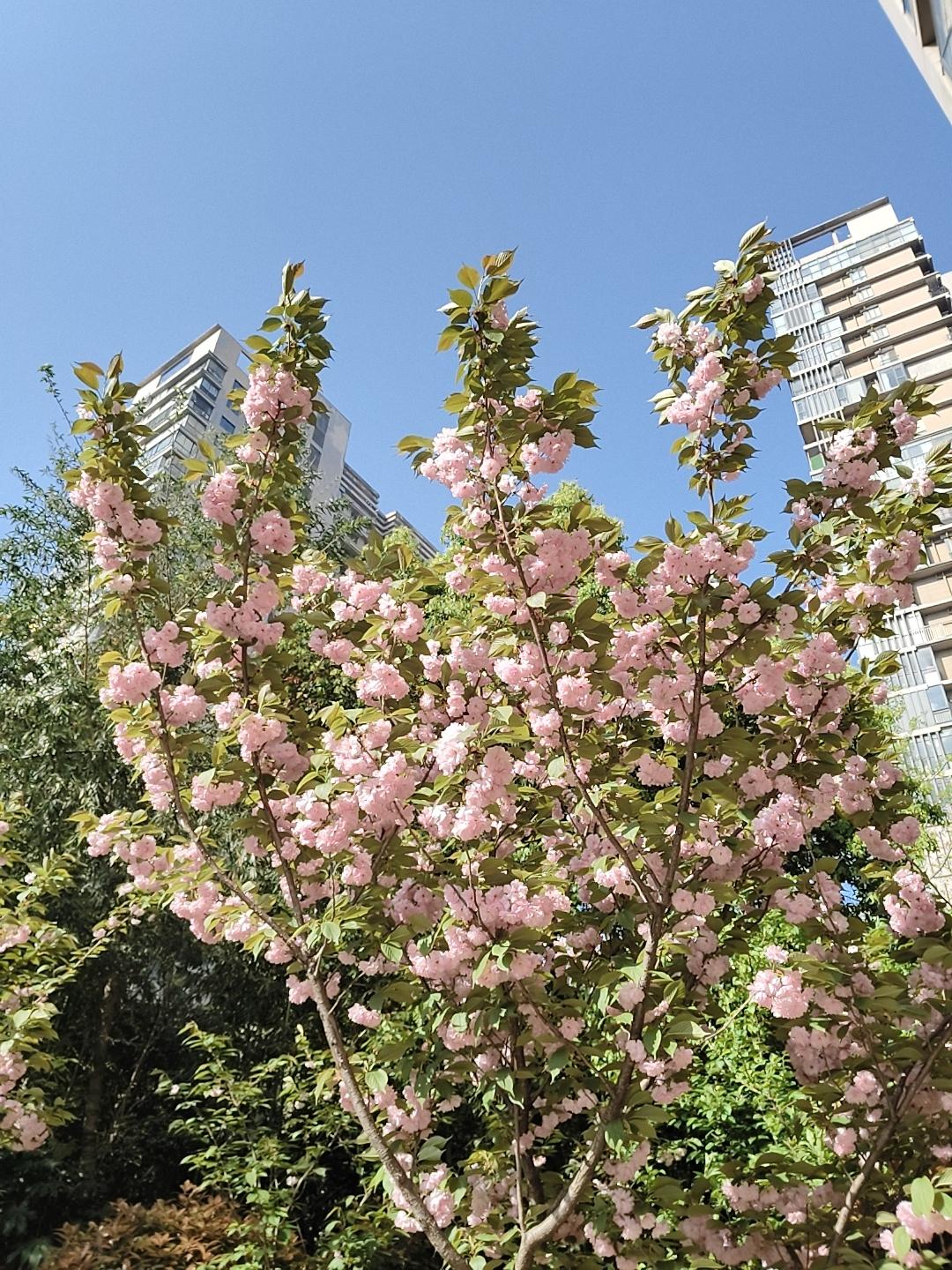 【目前的环境  还是不太乐观哦[捂脸][捂脸][捂脸]】伊拉克战局 带走进伊拉克