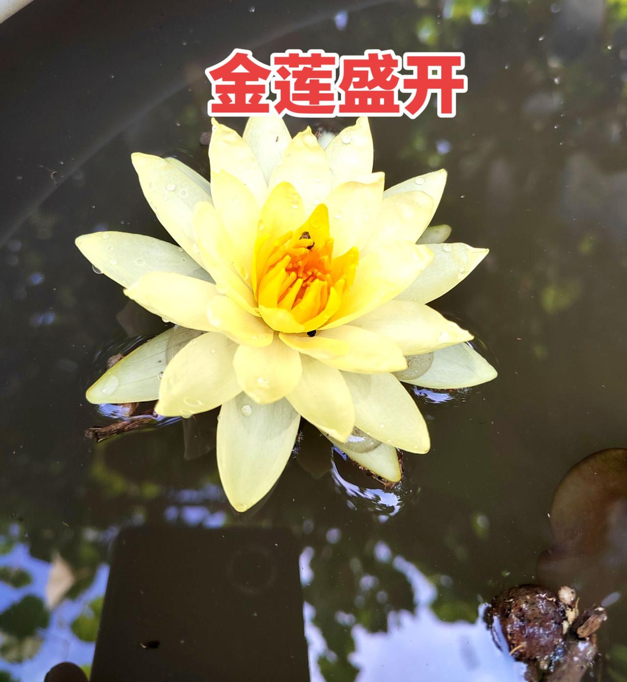 真实生活分享计划