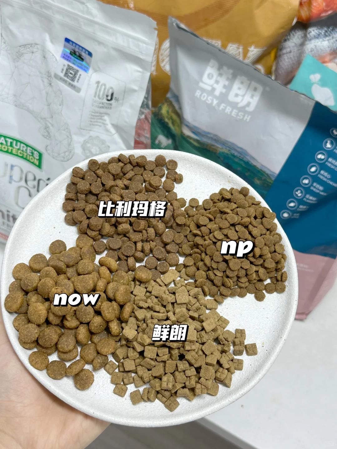 让我打破偏见的幼犬粮推荐