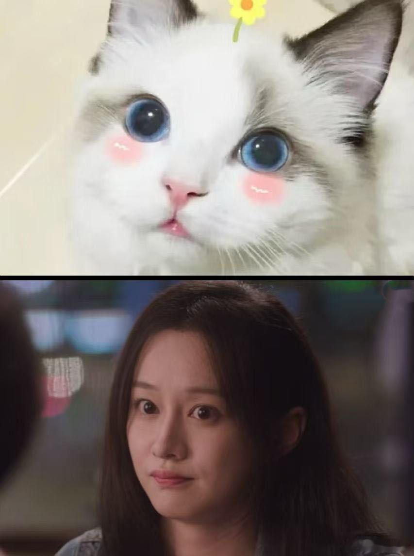 李晗 你无需自卑  看罢剧里情节，满心皆为李晗鸣不平。年轻人收集癖常态，竟遭恶意