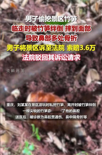 重庆，一男子在景区内因内急到竹林小便，见竹林的竹笋很嫩，于是挖了几个。谁知在离开