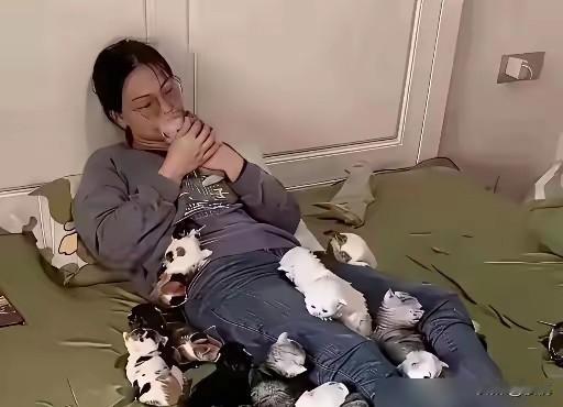 视猫如命的女人
985高校毕业的女人，月薪3万多，都30岁了却完全不按常理出牌。