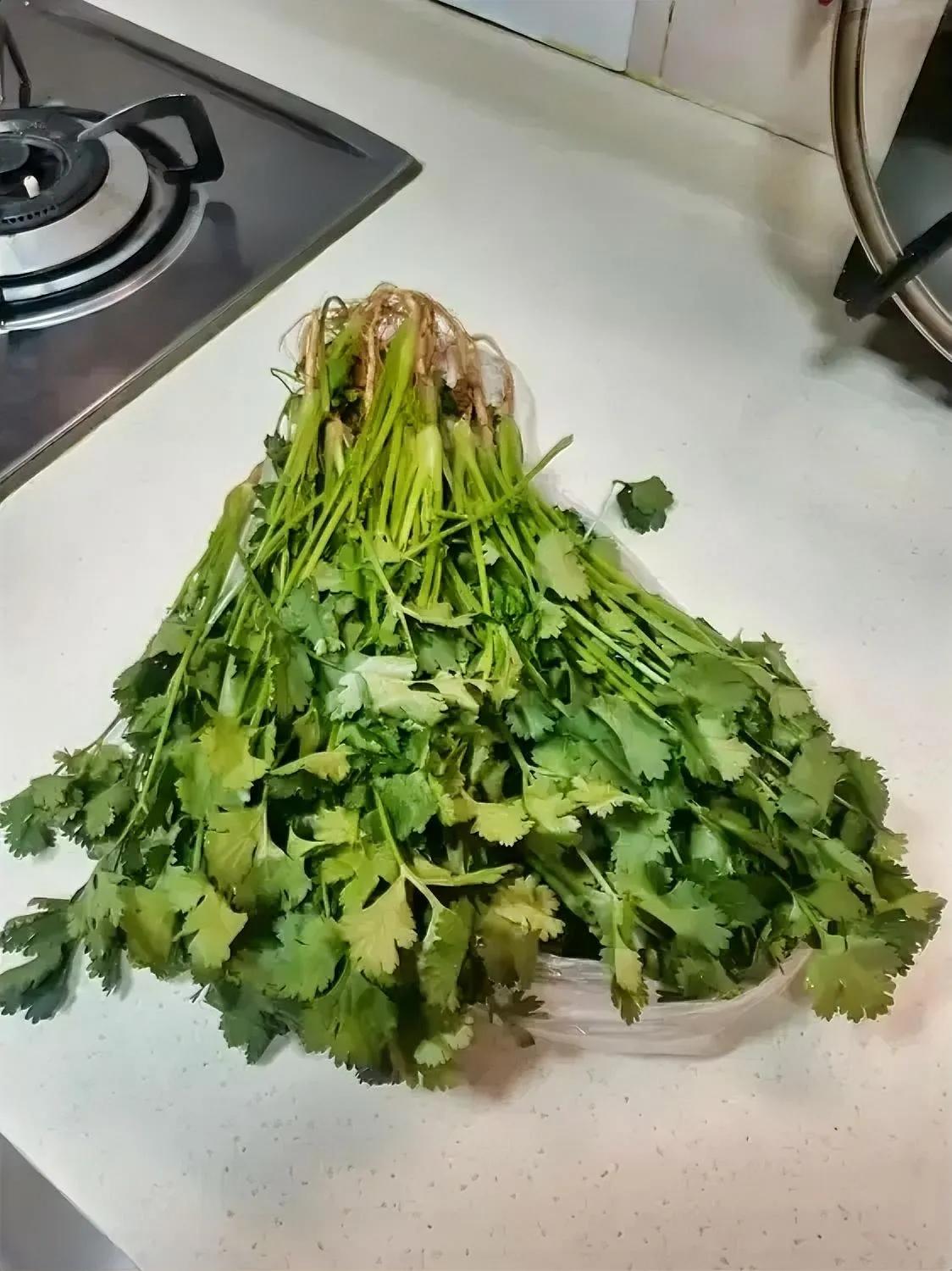 今天一家伙买了10块钱香菜，老伴问：买这么多香菜咋吃？
我回答：炒着吃。
老伴：